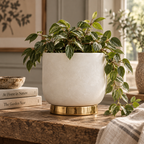 White and Gold Small Ceramic Planter
