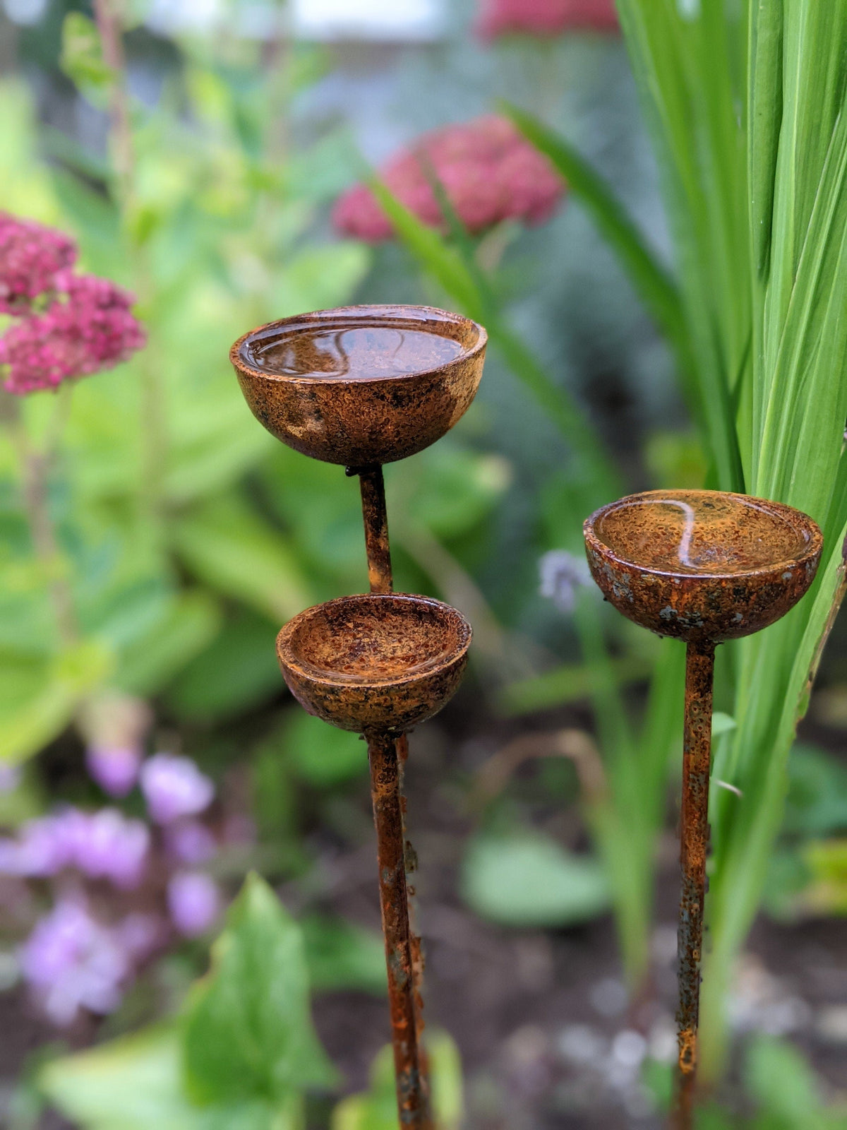 Small Rain Catcher Trio