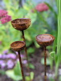 Small Rain Catcher Trio