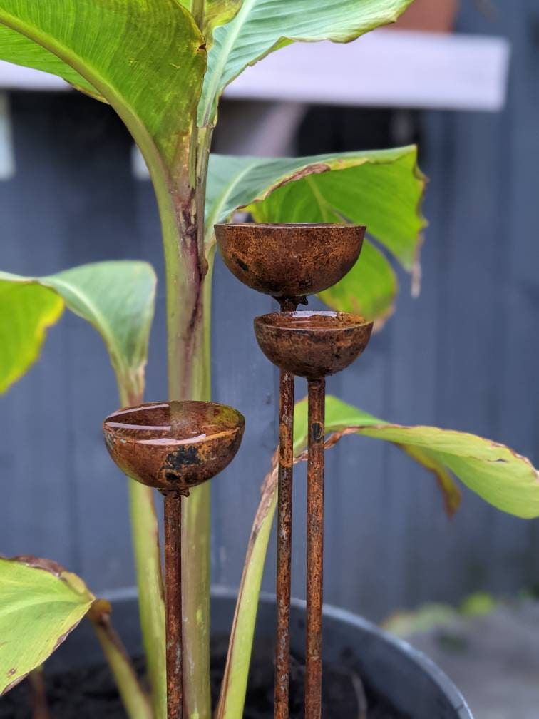 Small Rain Catcher Trio
