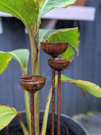 Small Rain Catcher Trio