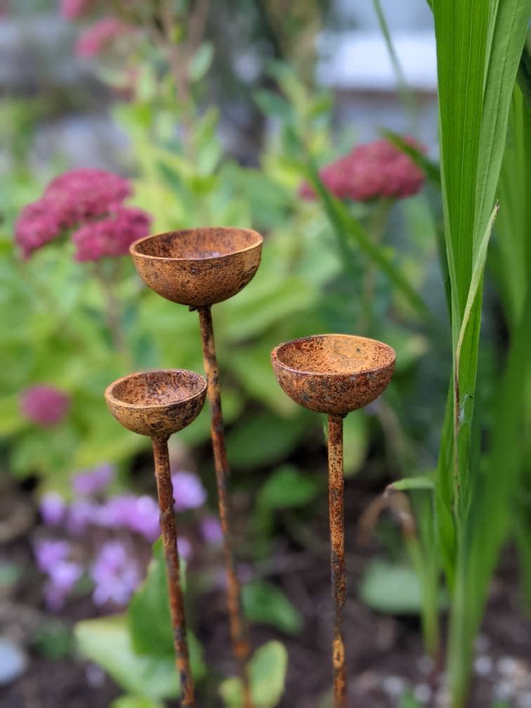 Small Rain Catcher Trio