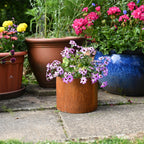 Rusty Plant Pots - Garden Planters
